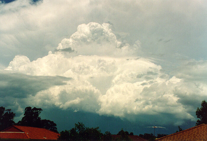 updraft thunderstorm_updrafts : Oakhurst, NSW   4 December 1993