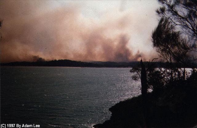 contributions received : Batemans Bay, NSW<BR>Photo by Adam Lee   3 January 1994