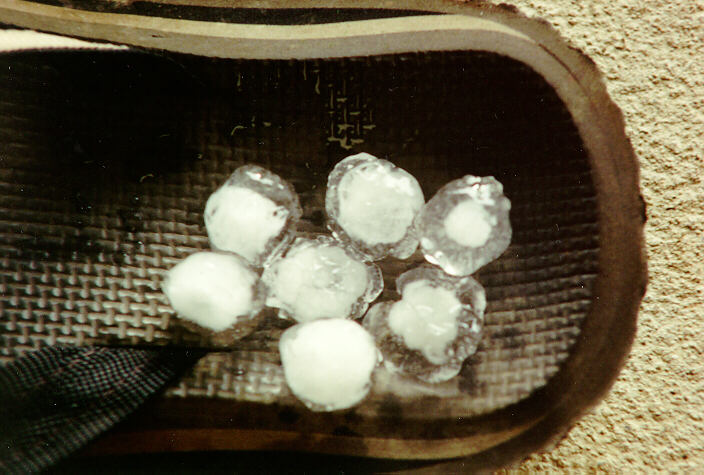 hailstones hail_stones : Oakhurst, NSW   1 February 1994
