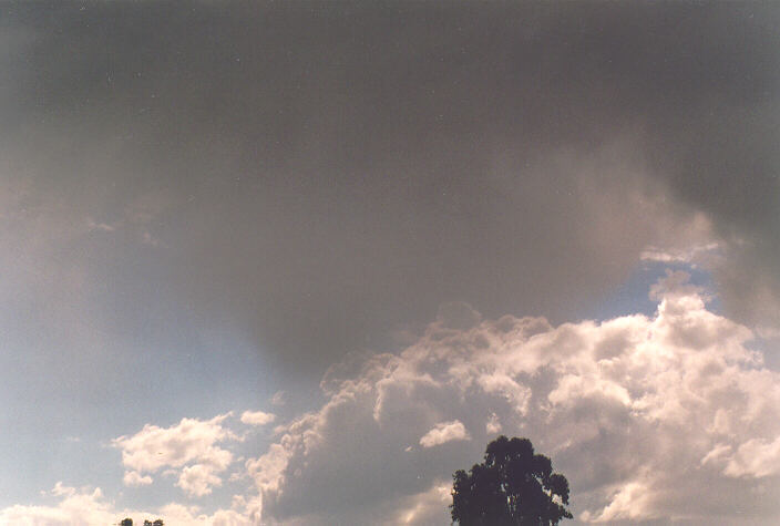 raincascade precipitation_cascade : Oakhurst, NSW   1 October 1995