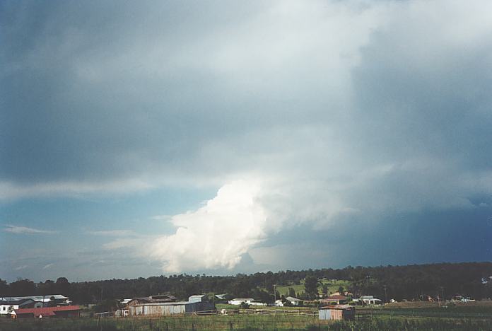 updraft thunderstorm_updrafts : Schofields, NSW   28 October 1995