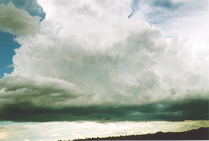 updraft thunderstorm_updrafts : Castlereagh, NSW   18 November 1995