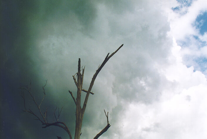 cumulonimbus thunderstorm_base : Cobbity, NSW   18 November 1995