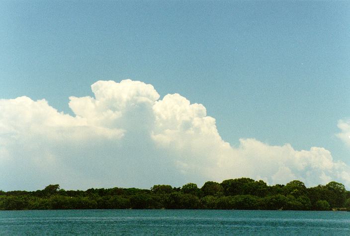 thunderstorm cumulonimbus_calvus : Ballina, NSW   31 December 1996