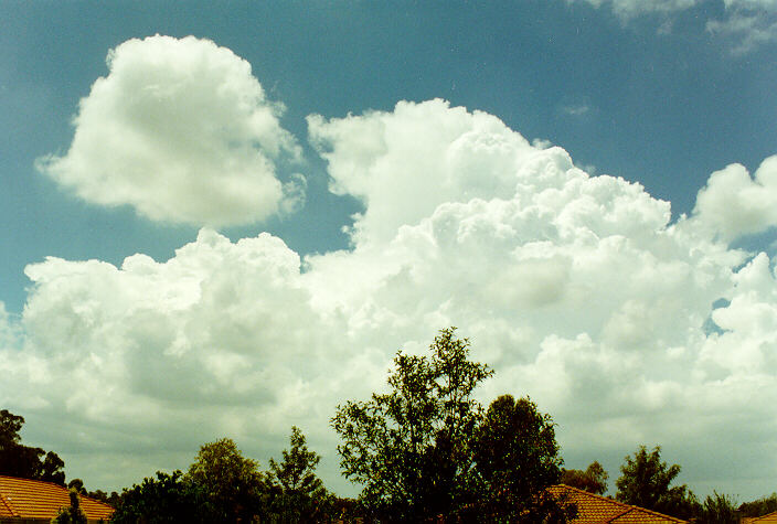 thunderstorm cumulonimbus_calvus : Oakhurst, NSW   27 January 1997
