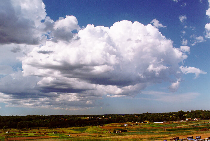 thunderstorm cumulonimbus_calvus : Schofields, NSW   28 March 1997