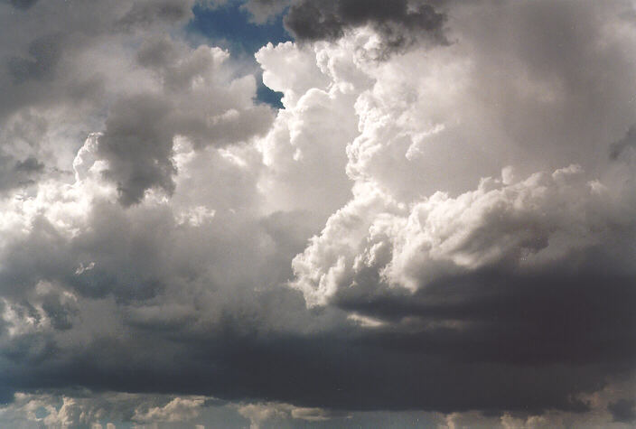 thunderstorm cumulonimbus_calvus : Windsor, NSW   27 October 1997