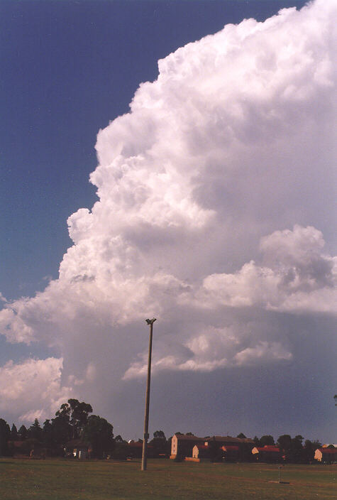 cumulonimbus supercell_thunderstorm : St Marys, NSW   12 November 1997