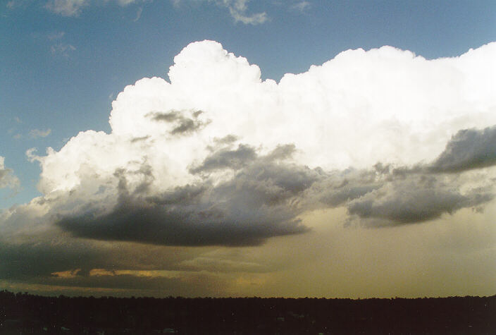 thunderstorm cumulonimbus_calvus : Schofields, NSW   15 November 1997