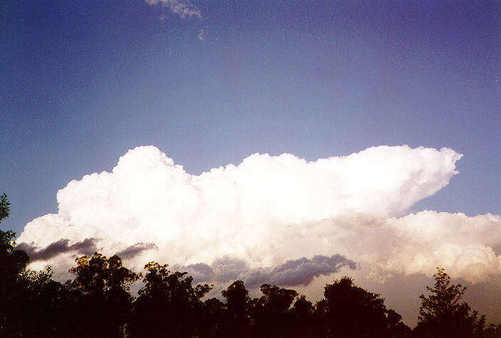 thunderstorm cumulonimbus_calvus : Oakhurst, NSW   15 November 1997