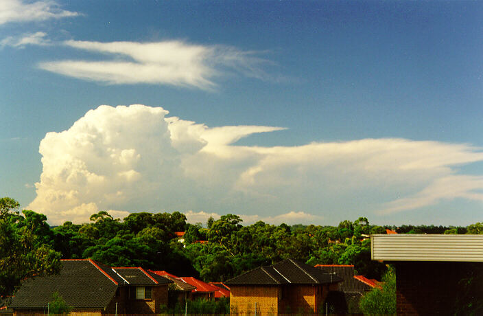 contributions received : North Ryde, NSW<BR>Photo by Paul Graham   12 February 1998