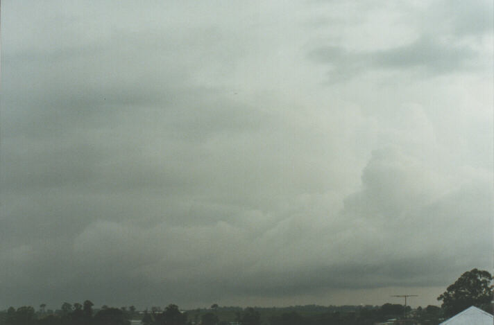 thunderstorm cumulonimbus_calvus : Schofields, NSW   22 January 1999