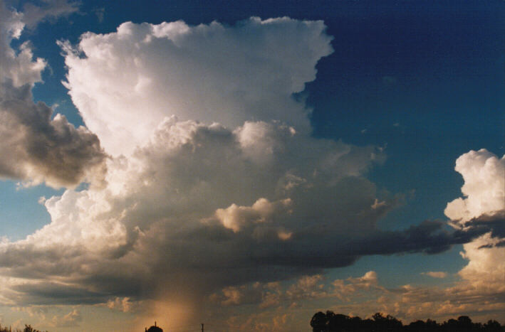 raincascade precipitation_cascade : Schofields, NSW   14 March 1999