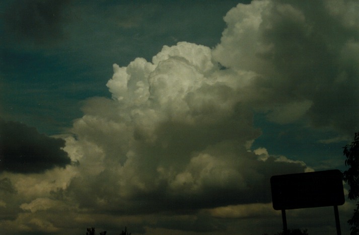 thunderstorm cumulonimbus_calvus : Lithgow, NSW   5 March 2000