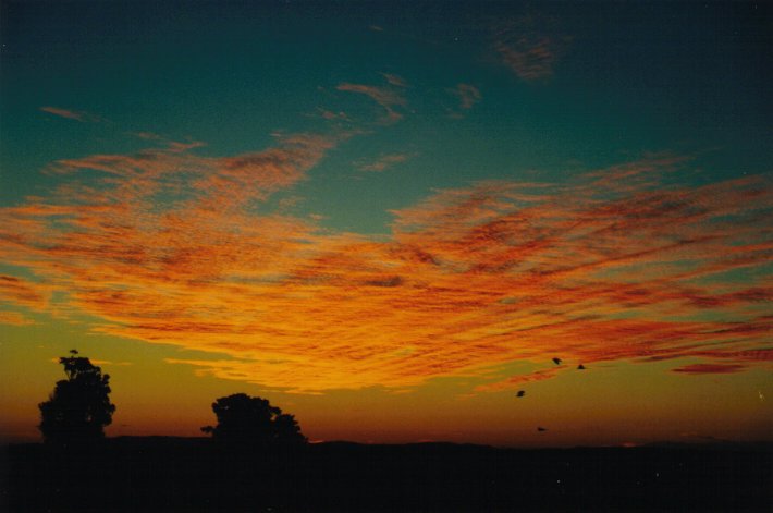 sunset sunset_pictures : McLeans Ridges, NSW   28 June 2000