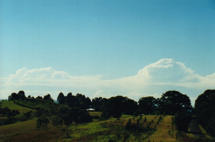 thunderstorm cumulonimbus_incus : McLeans Ridges, NSW   10 July 2000