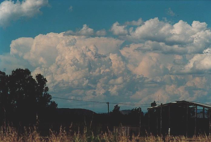 thunderstorm cumulonimbus_incus : Muswellbrook, NSW   3 November 2000