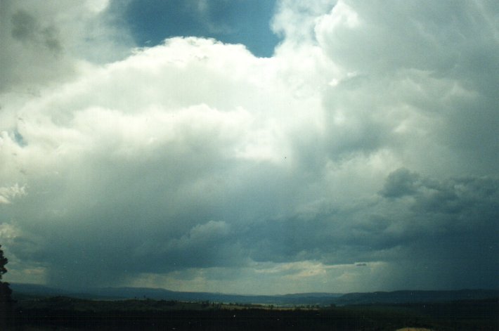 thunderstorm cumulonimbus_calvus : Richmond Range, NSW   4 November 2000