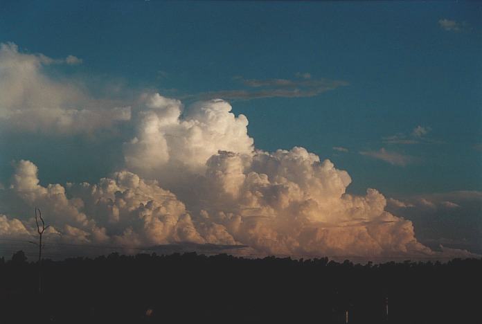 thunderstorm cumulonimbus_calvus : near Port Macquarie, NSW   5 November 2000