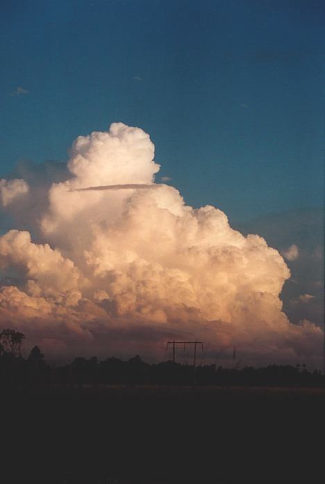 thunderstorm cumulonimbus_calvus : S of Port Macquarie, NSW   5 November 2000