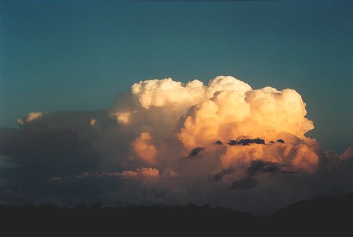 thunderstorm cumulonimbus_calvus : N of Taree, NSW   5 November 2000