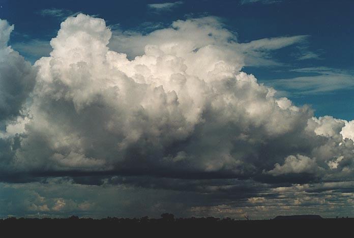 thunderstorm cumulonimbus_calvus : Bourke, NSW   19 November 2000