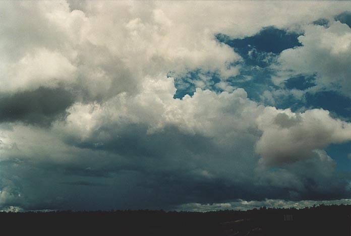 cumulonimbus thunderstorm_base : N of Miles, Qld   21 November 2000