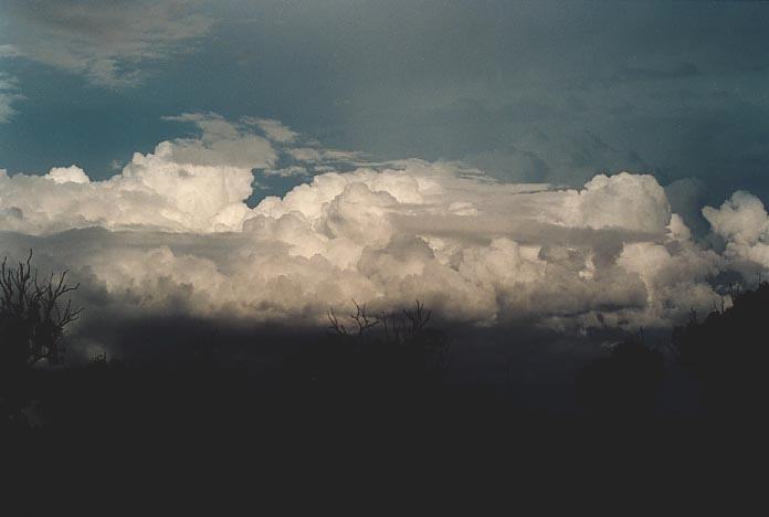 thunderstorm cumulonimbus_calvus : 40km N of Banana, Qld   21 November 2000