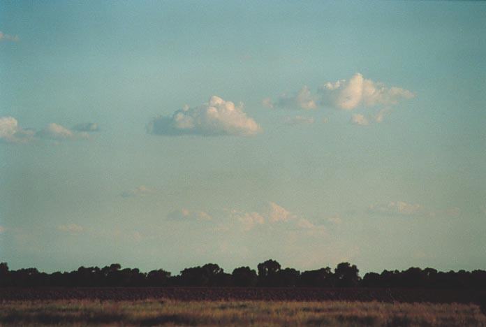 cumulus humilis : Cunumulla, Qld   26 November 2000