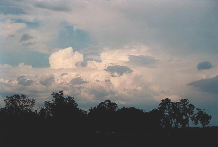 thunderstorm cumulonimbus_calvus : Coolmunda Dam, Inglewood, Qld   27 November 2000