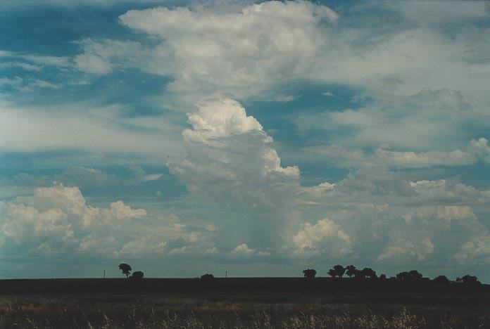 thunderstorm cumulonimbus_calvus : near Quirindi, NSW   29 November 2000
