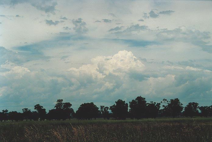 thunderstorm cumulonimbus_calvus : near Quirindi, NSW   29 November 2000