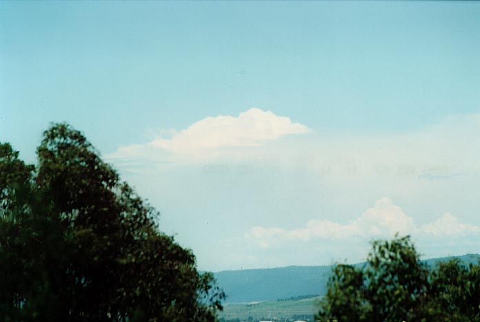 thunderstorm cumulonimbus_calvus : Singleton Heights, NSW   30 November 2000