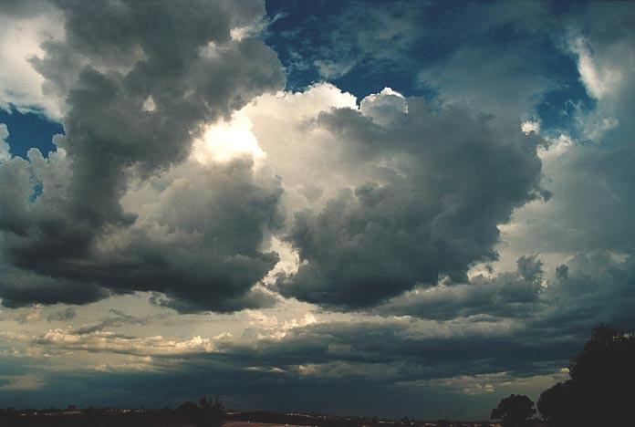 thunderstorm cumulonimbus_calvus : NW of Singleton, NSW   30 November 2000