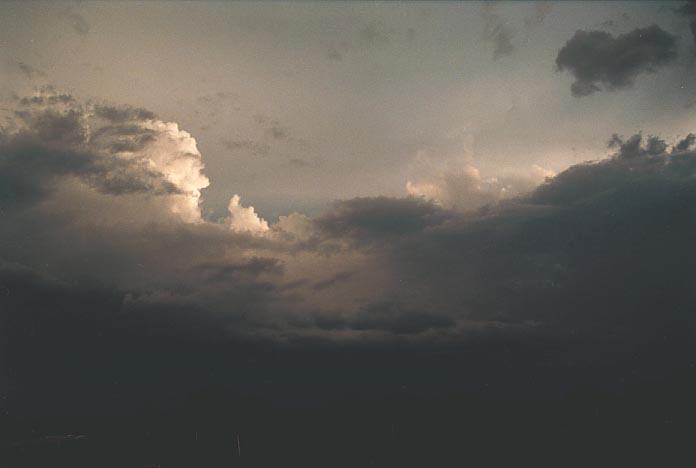 thunderstorm cumulonimbus_calvus : Lithgow, NSW   25 January 2001
