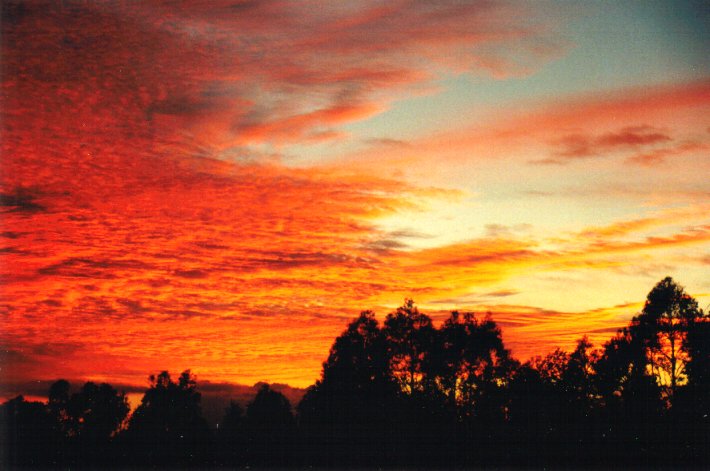 sunrise sunrise_pictures : McLeans Ridges, NSW   30 January 2001