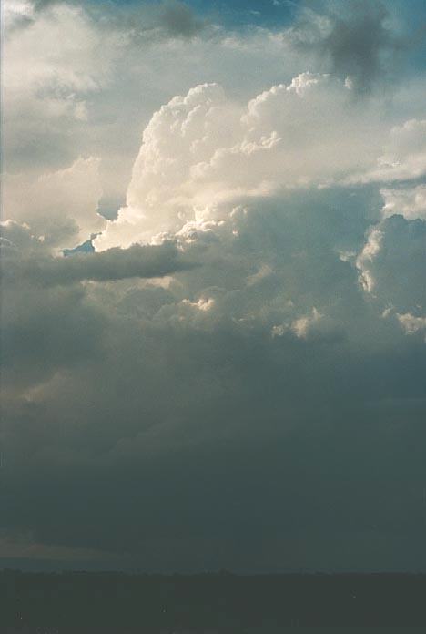 thunderstorm cumulonimbus_calvus : Rooty Hill, NSW   2 March 2001