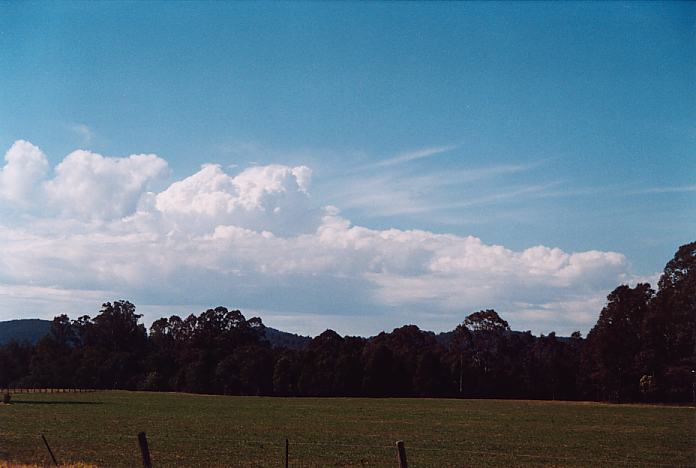 thunderstorm cumulonimbus_calvus : Booral, NSW   26 August 2001