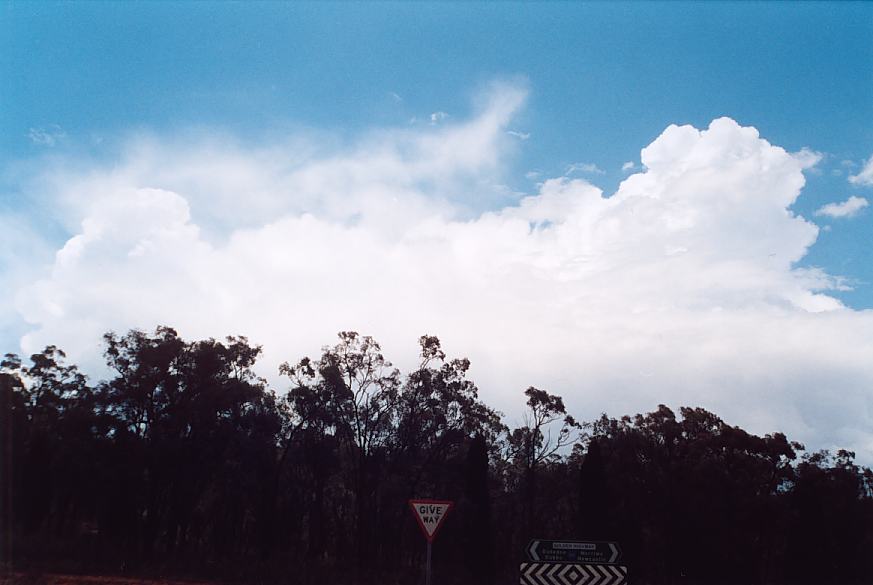 contributions received : near Borambil, NSW<BR>Photo by Geoff Thurtell   18 November 2001