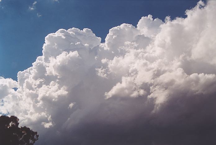 thunderstorm cumulonimbus_calvus : Wingen, NSW   18 November 2001