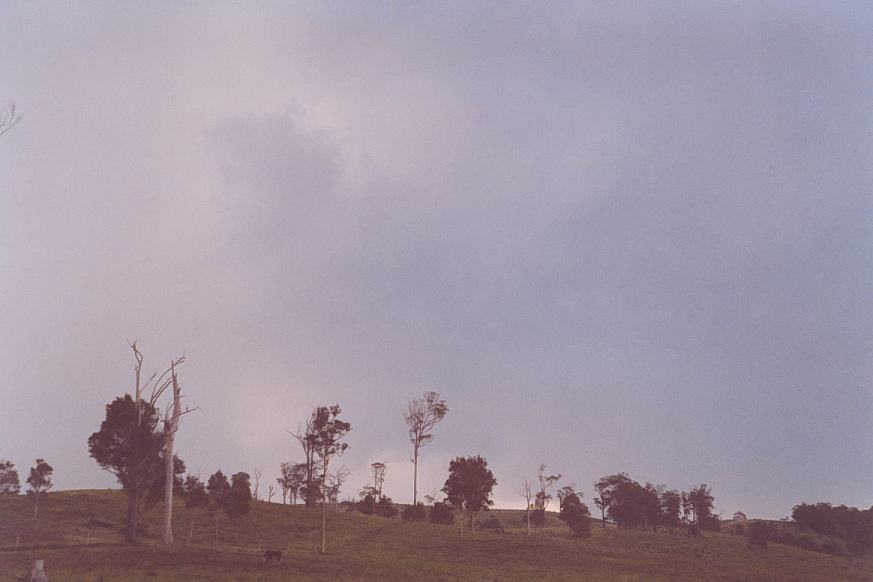 contributions received : Bulahdelah, NSW<BR>Photo by Geoff Thurtell   24 November 2001