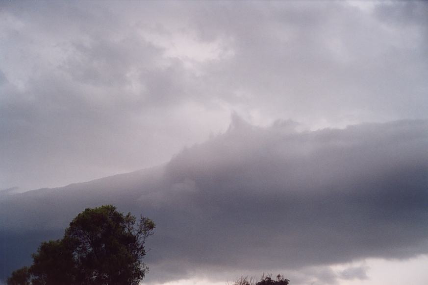 contributions received : N of Bulahdelah, NSW<BR>Photo by Geoff Thurtell   24 November 2001