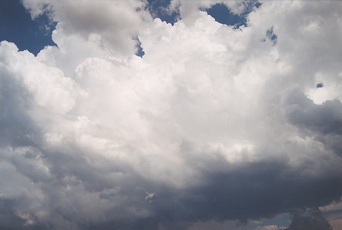 thunderstorm cumulonimbus_calvus : Dorrigo, NSW   3 December 2001