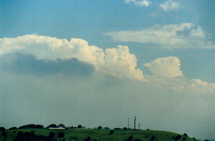 thunderstorm cumulonimbus_calvus : Meerschaum, NSW   21 December 2001