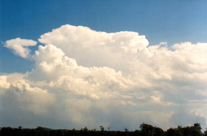 thunderstorm cumulonimbus_calvus : Woodburn, NSW   22 December 2001