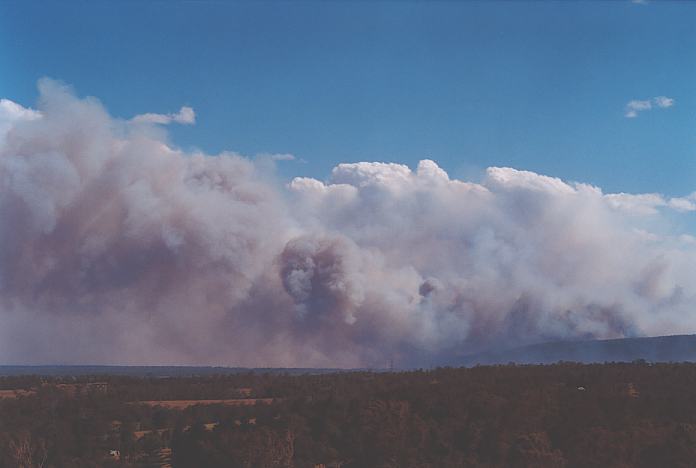 bushfire wild_fire : Kurrajong, NSW   26 December 2001