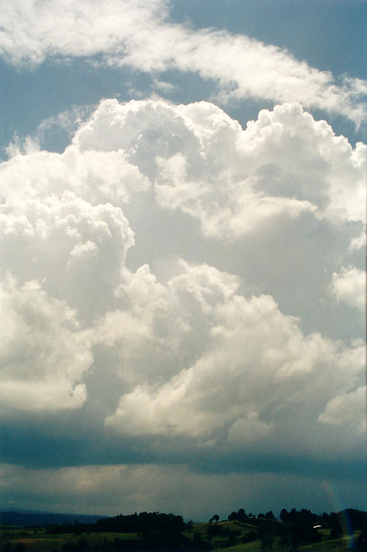 thunderstorm cumulonimbus_calvus : McLeans Ridges, NSW   6 January 2002