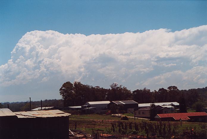 thunderstorm cumulonimbus_calvus : Schofields, NSW   8 February 2002