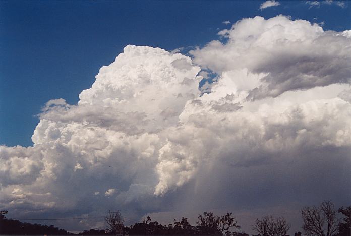 thunderstorm cumulonimbus_calvus : F3 Freeway near Wyee, NSW   8 February 2002