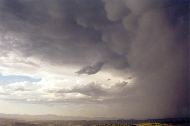 raincascade precipitation_cascade : McLeans Ridges, NSW   23 September 2002